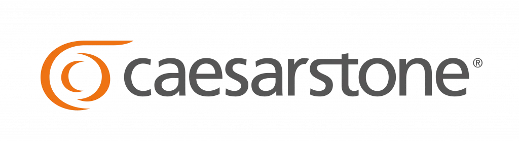 imgi_15_CS-Logo-outlines-01-1024x278-1